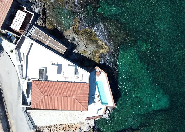 Kormoranos-hydrobates Waterfront